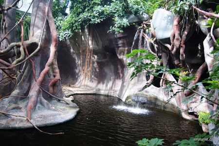 zoo-praha-pavilon-indoneska-dzungle